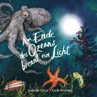 bokomslag Am Ende des Ozeans brennt ein Licht