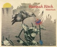 bokomslag Hannah Hoch - Bilderbuch German Edition