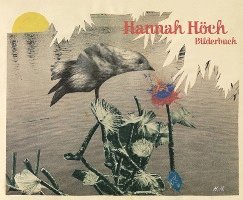 bokomslag Hannah Hoch - Bilderbuch German Edition