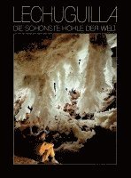 Urs Widmer - Lechuguilla - Die schönste Höhle der Welt, Inbunden