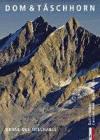 Daniel Anker, Caroline Fink, Marco Volken, Martin Rickenbacher, Emil Zopfi - Dom & Täschhorn, Inbunden
