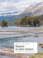 bokomslag Bauen in den Alpen