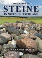 bokomslag Steine in Norddeutschland