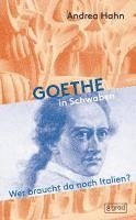 bokomslag Goethe in Schwaben