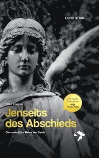 bokomslag Jenseits des Abschieds