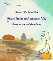 bokomslag Bunte Steine auf meinem Weg