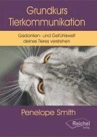 bokomslag Grundkurs Tierkommunikation
