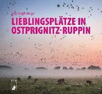 bokomslag Lieblingsplätze in Ostprignitz-Ruppin