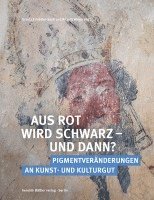 bokomslag Aus Rot wird Schwarz - und dann?