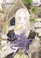 bokomslag Estelle - Der Morgenstern von Ersha 04