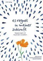 Es regnet in meiner Zukunft