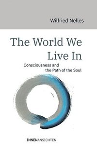 bokomslag The World We Live In: Consciousness and the Path of the Soul