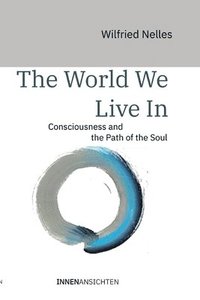 bokomslag The World We Live In: Consciousness and the Path of the Soul