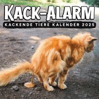 bokomslag Kack-Alarm