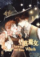 Tang Tang - Dawn the Teen Witch 1, Häftad