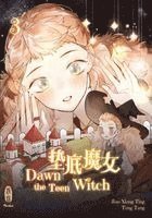 bokomslag Dawn the Teen Witch - Band 3