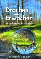 Drachen-Erwachen Kartenset 1