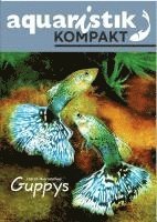 bokomslag Guppys - aquaristik KOMPAKT