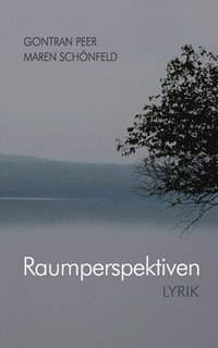 bokomslag Raumperspektiven