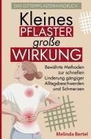 bokomslag Kleines Pflaster, große Wirkung - Das Gitterpflaster Handbuch