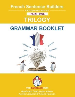 bokomslag French Trilogy 2 Grammar Book