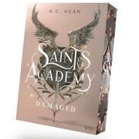 bokomslag Saints Academy 2 - Damaged