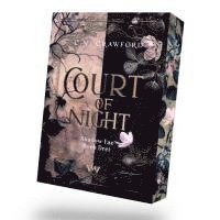 bokomslag Court of Night