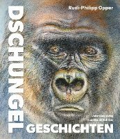 bokomslag Dschungelgeschichten