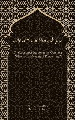 The Wondrous Beauty in the Question: What is the Meaning of Pre-eternity?