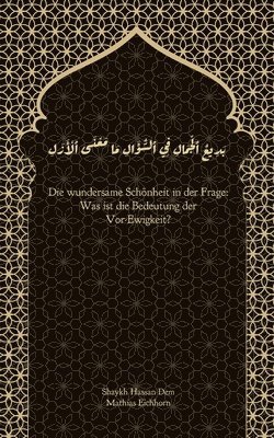 Hassan Dem, Mathias Eichhorn - wundersame Schönheit in der Frage, Häftad