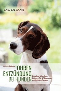 bokomslag Ohrenentzündung bei Hunden