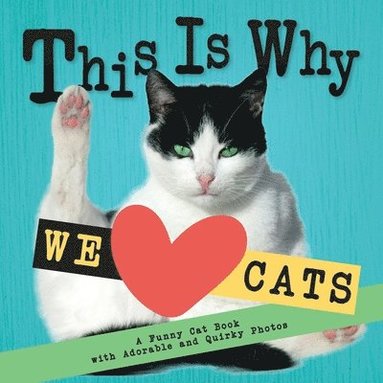 Emily Johnson - This Is Why We Love Cats, Häftad