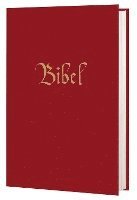 bokomslag Die Bibel