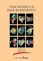 bokomslag Taschenbuch der Rebsorten