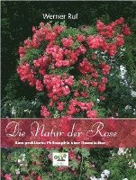 bokomslag Die Natur der Rose
