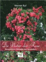 Werner Ruf - Die Natur der Rose, Inbunden