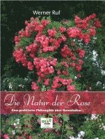 bokomslag Die Natur der Rose