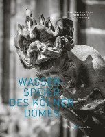 bokomslag Wasserspeier des Kölner Domes