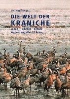Die Welt der Kraniche 1