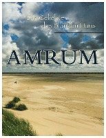 bokomslag Amrum - Die Geliebte des Blanken Hans