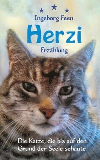 bokomslag Herzi