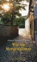 bokomslag Wie im Morgenglanze - Weimarer Morgenspaziergänge