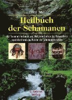 bokomslag Heilbuch der Schamanen