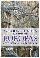 bokomslag Prophezeiungen zur Zukunft Europas und reale Ereignisse