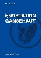 bokomslag Endstation Gänsehaut