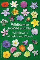 bokomslag Wildblumen in Wald und Flur
