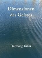 bokomslag Dimensionen des Geistes