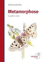 Metamorphose 1