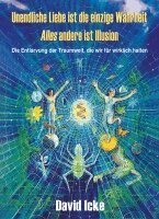 David Icke - Unendliche Liebe ist die einzige Wahrheit, Häftad