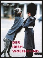 bokomslag Der Irish Wolfhound